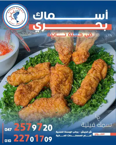 فيلية