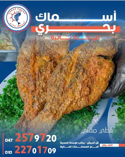 بلطي مقلي