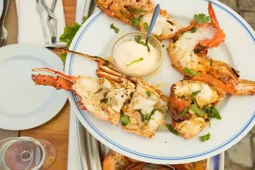Lobster