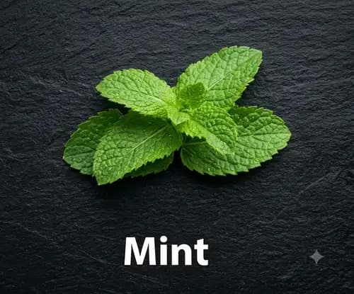 MINT