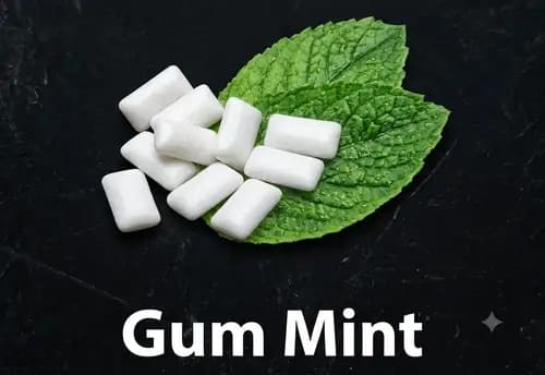 GUM MINT