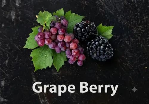 GRAPE BERRY