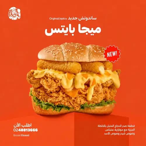 ميجا بايتس